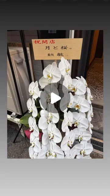 月と桜の開店祝い